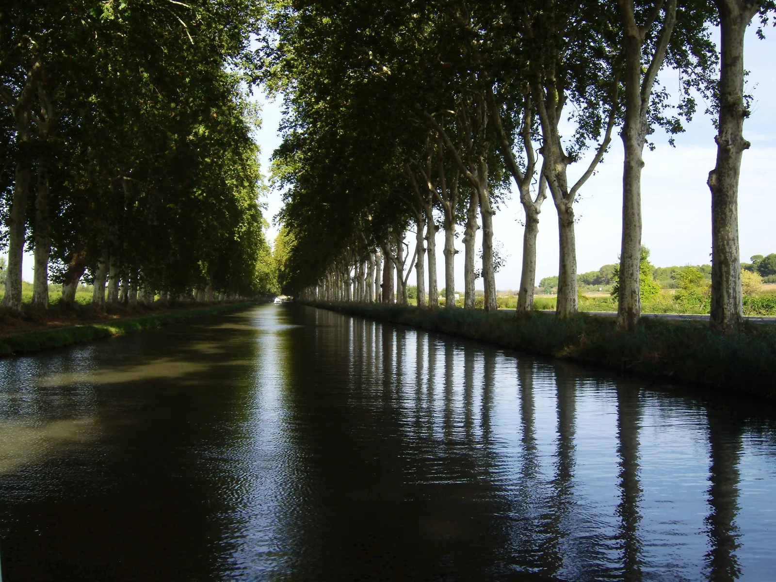 Le Canal du Midi bordé de platanes centenaires, avec une péniche passant sous un pont en pierre