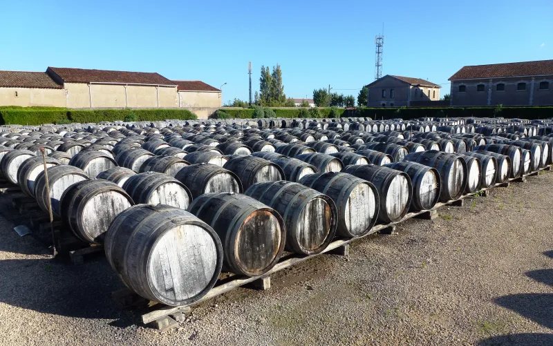 Barriques Noilly Prat vieillissant en plein air à Marseillan, une étape clé du vieillissement du Noilly Original