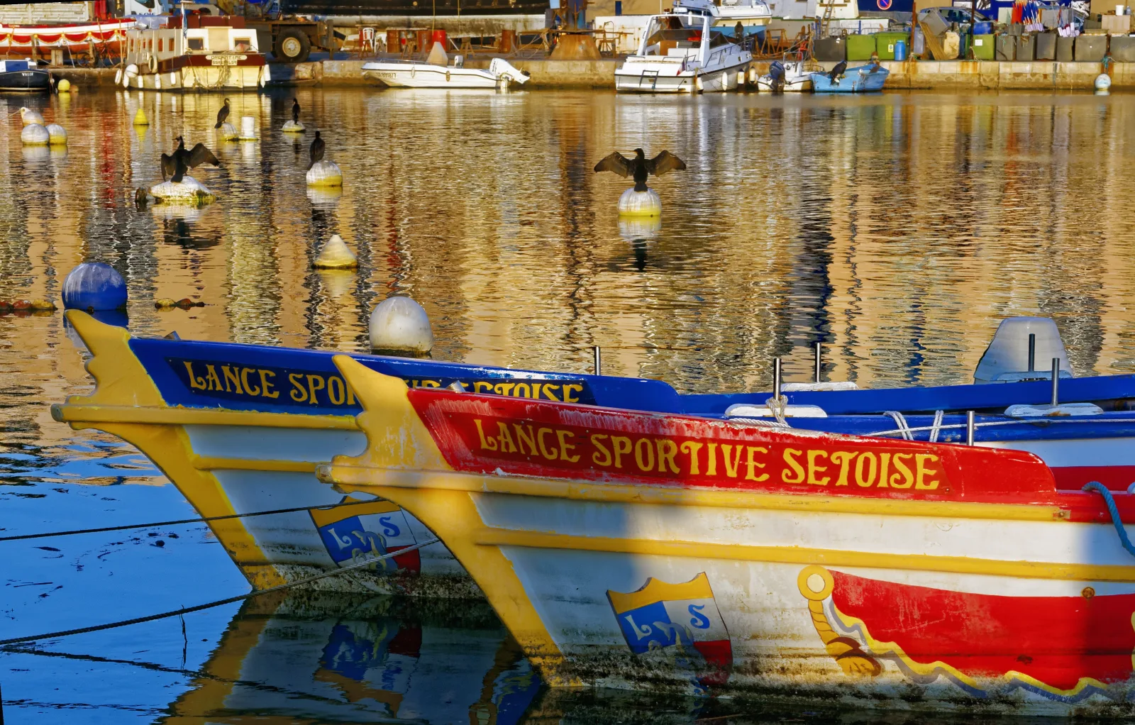 Jouteurs sur leurs barques dans le canal Royal de Sète avec la foule le long des quais