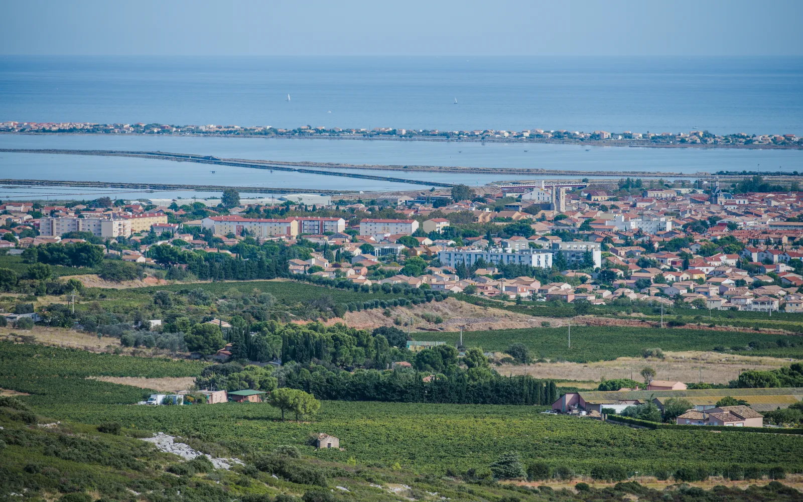 Vignobles de Frontignan avec l'étang de Thau et la mer en arrière-plan